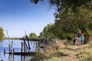 marais-poitevin-angles-vendee-grand-littoral-credit-photo-simon-bourcier