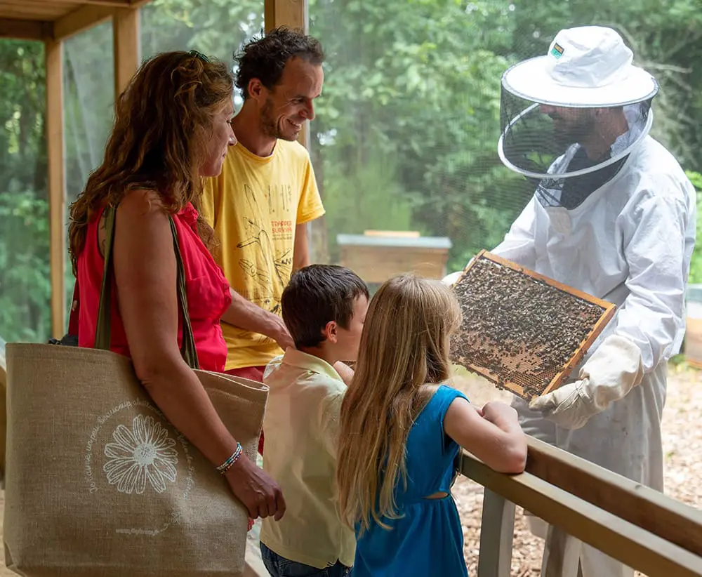 folie-finfarine-poiroux-vendee-animation-apiculture