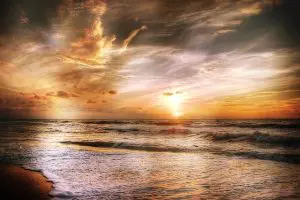 Programme animations novembre 2026 Vendée Grand Littoral