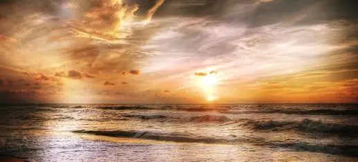 Programme animations novembre 2026 Vendée Grand Littoral