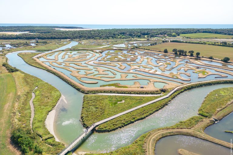 Marais de la Guittière