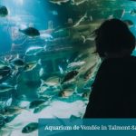 Accueil presse Travelisto - Aquarium de Vendée